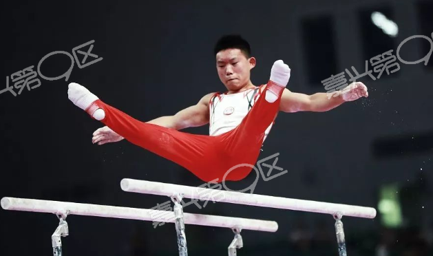 开云体育入口-全能冠军登顶,青年选手崭露头角