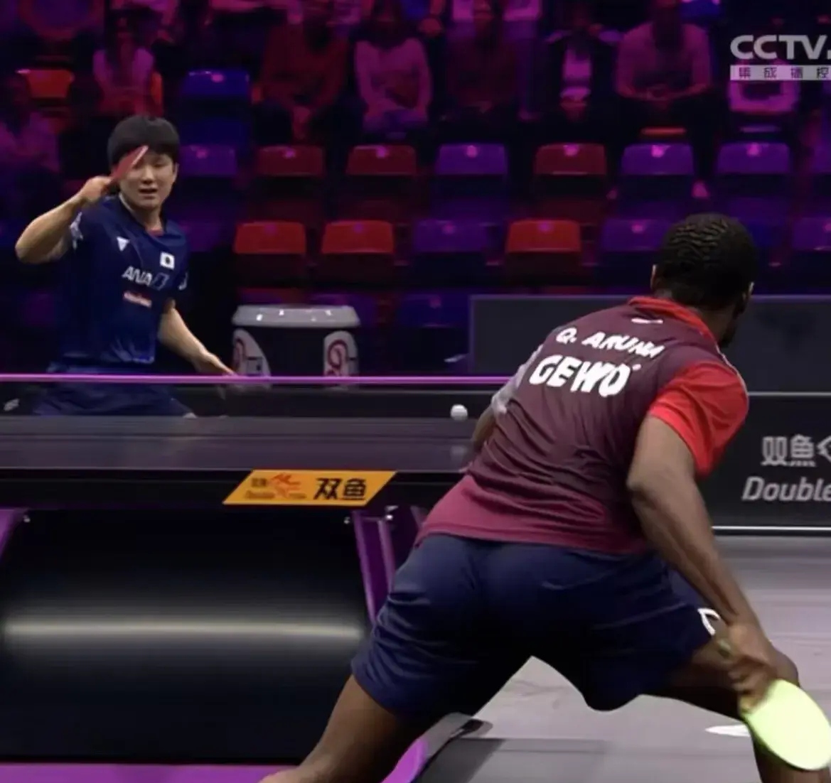 关于法国乒乓球队逆转中国乒乓球队,张本智和绝境逆转的信息 关于法国乒乓球队逆转中国乒乓球队,张本智和绝境逆转的信息