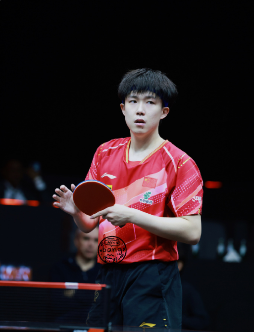 奥地利乒乓球队横扫日本乒乓球队,王皓惊艳世界的简单介绍 奥地利乒乓球队横扫日本乒乓球队,王皓惊艳世界的简单介绍