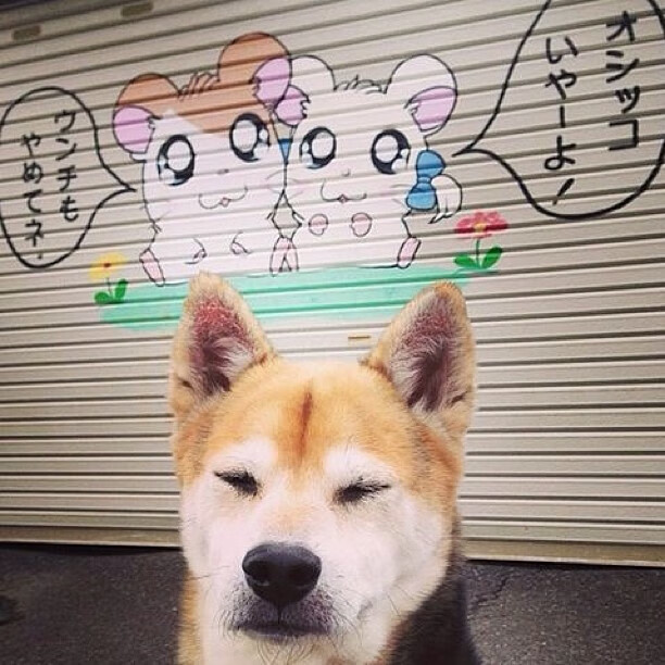 东决夜,无声处听惊雷,奥纳纳的自我证明之战