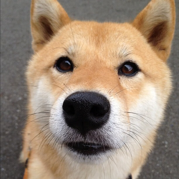 卡拉斯科无双表现引爆全场，拉齐奥友谊赛力克乌拉圭队