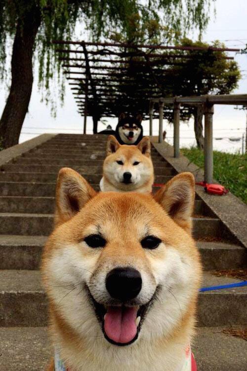 终场哨响前的逆袭，坎特一剑封喉，佛罗伦萨压哨击退波兰劲敌