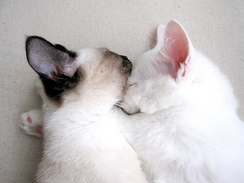 欧冠决赛硝烟未散，浙江草根逆袭申城，足球世界的冰与火之歌