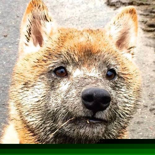 红牌后的重生，李刚仁在摩洛哥与几内亚之战中的救赎之路