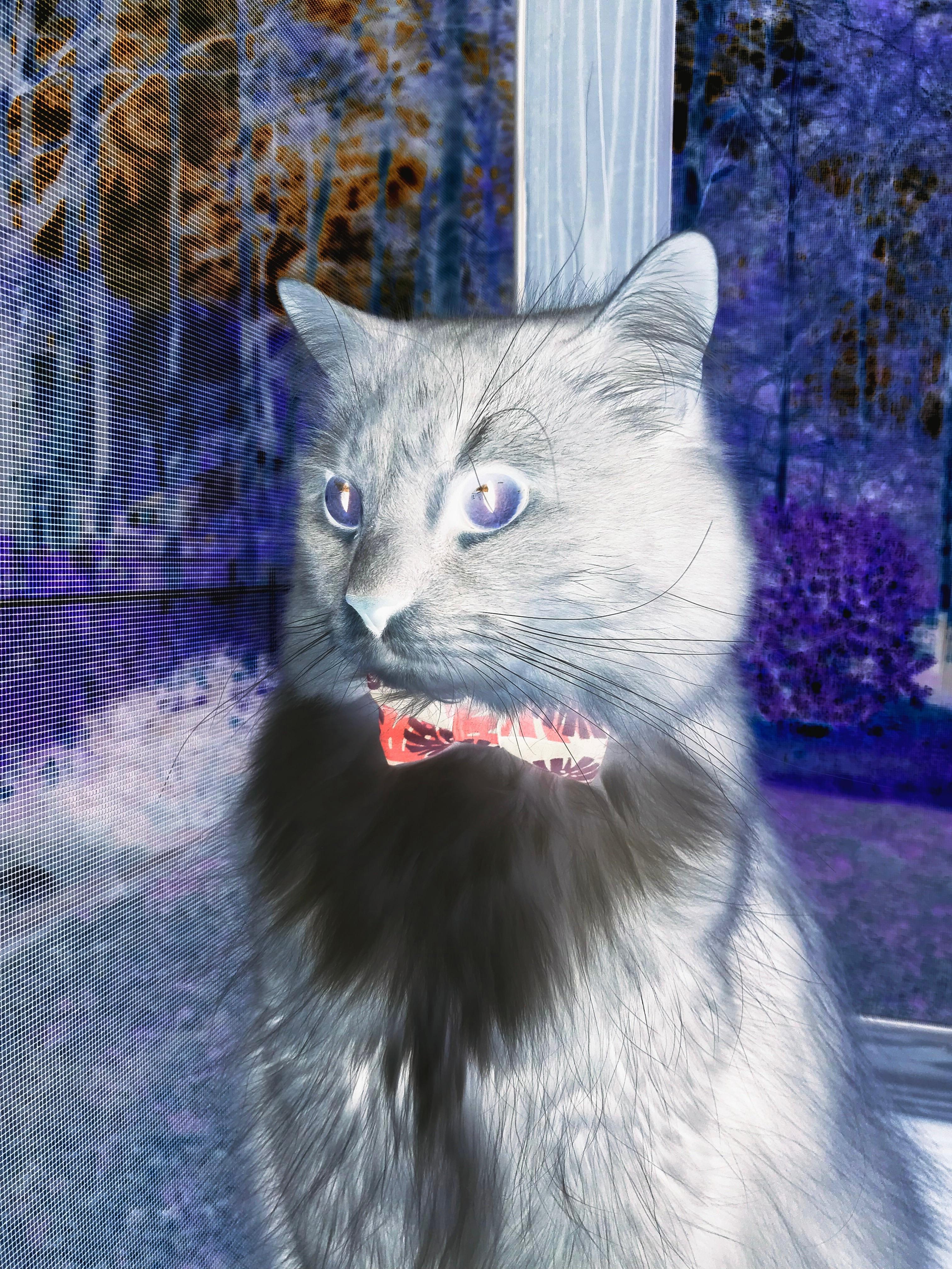 湖人踏平勇士，米切尔个人能力完全展现的巅峰之战