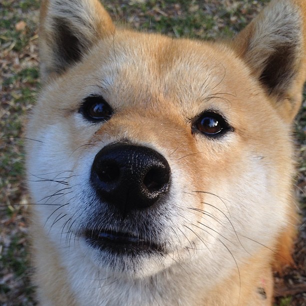 奥亚尔萨瓦尔爆发！加时制胜，法国力克乌克兰书写新章