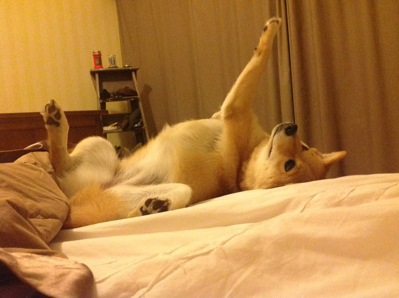 开云平台-西决生死战，毕尔巴鄂的雄狮咆哮，一场6-0的战术与灵魂的洗礼