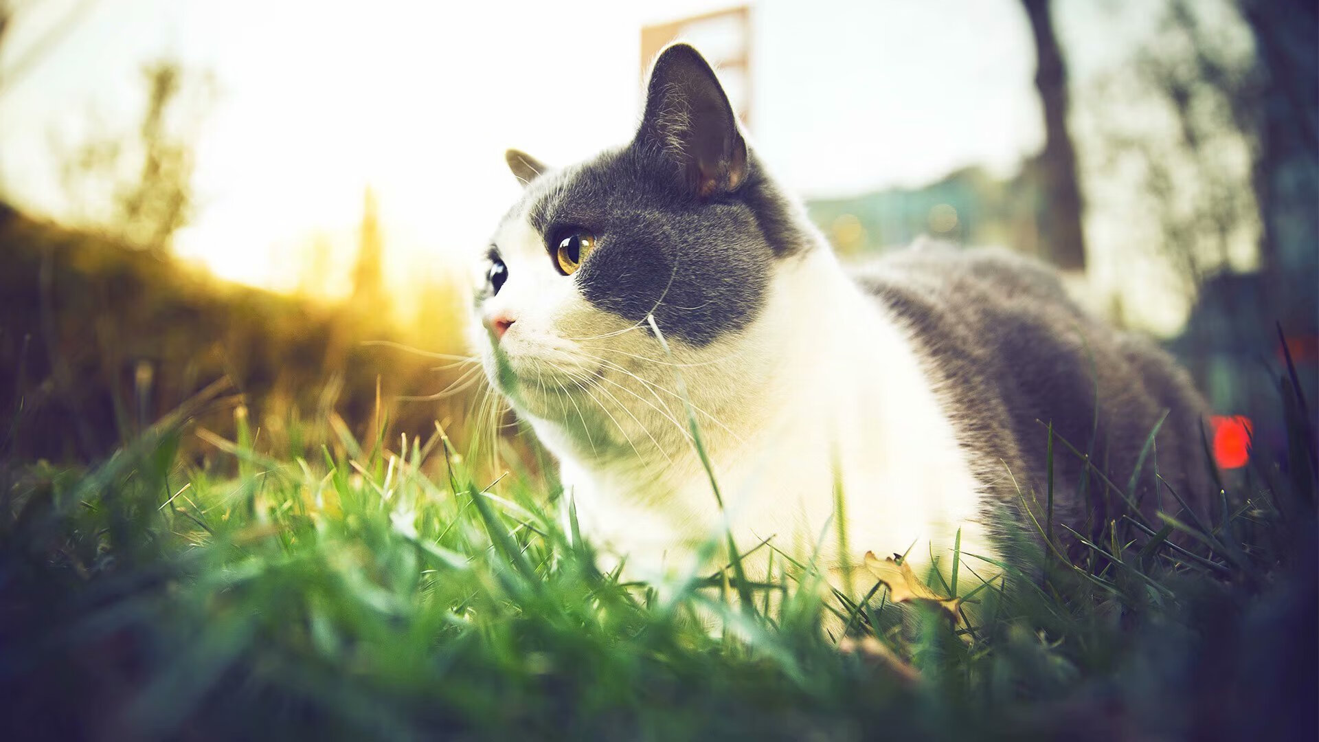 莫德里奇统治全场，马德里竞技横扫加纳