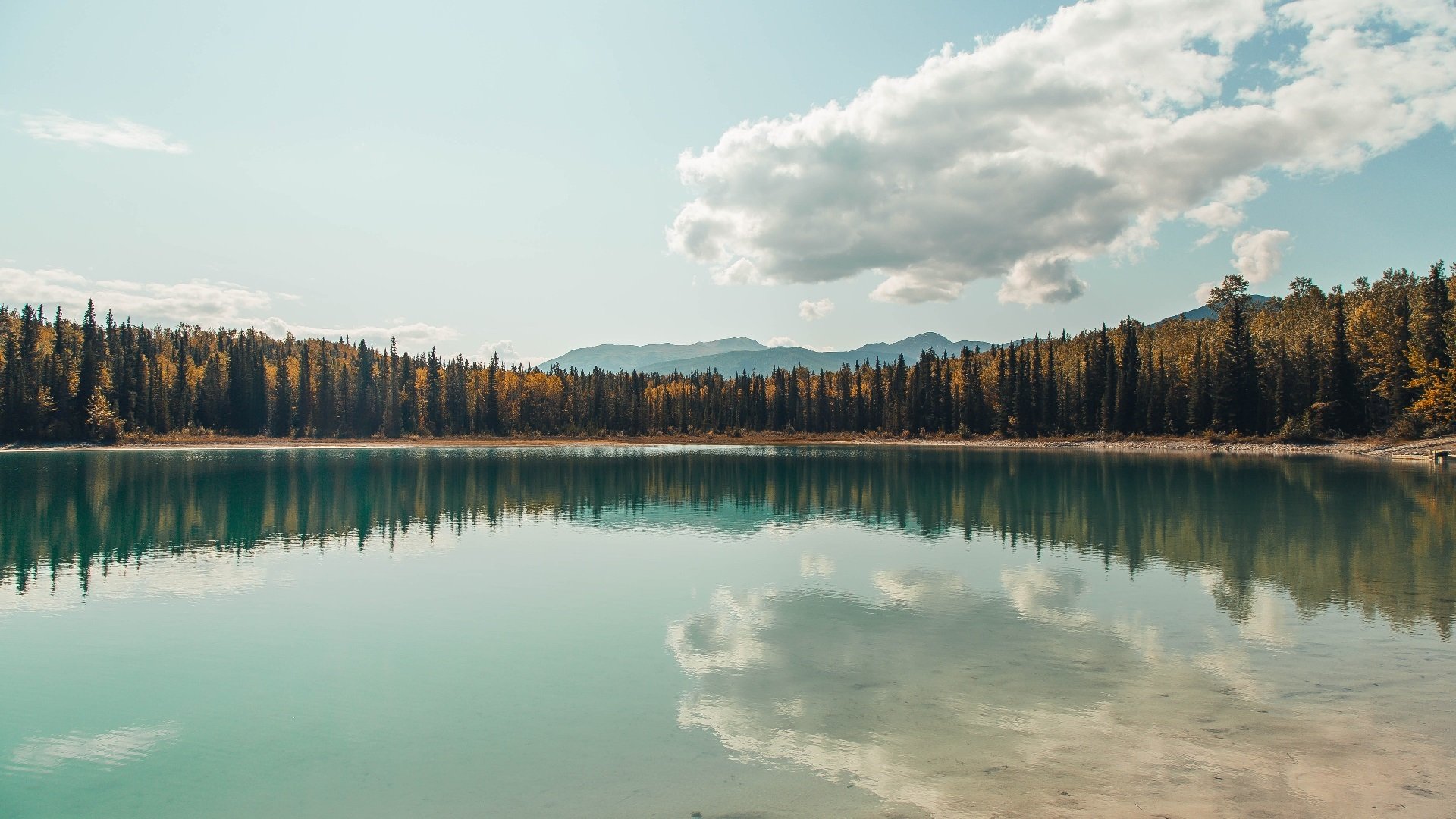 开云平台-新王登基夜，范弗利特在费城击碎绿军的傲慢