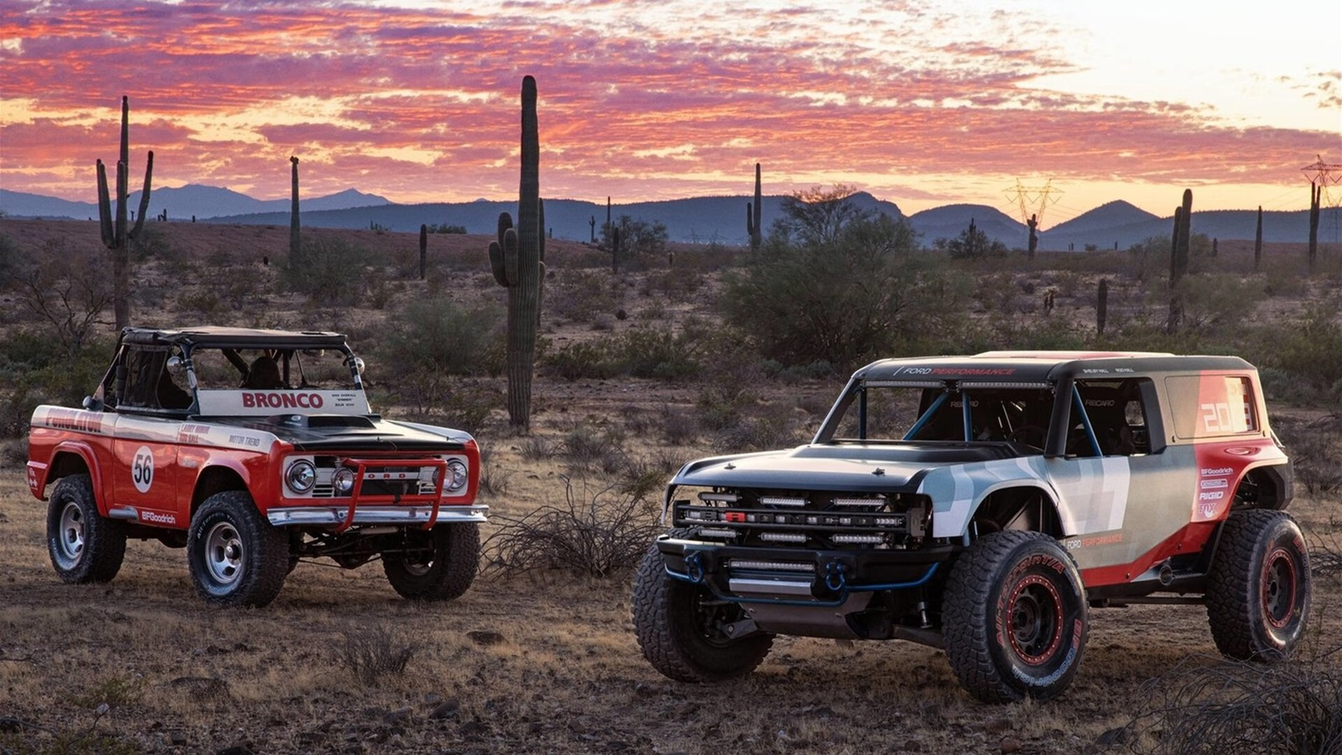 切尔西力量碾压荷兰，萨卡关键先生一锤定音