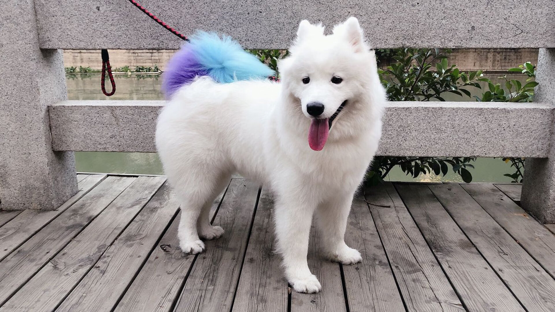 开云官网-夜幕下的权力游戏，基米希的街道赛节奏统治