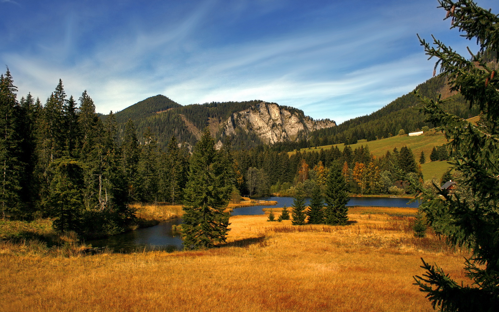开云体育中国-篮网完胜深圳队展国际风采，爱德华兹总决赛接管比赛铸传奇