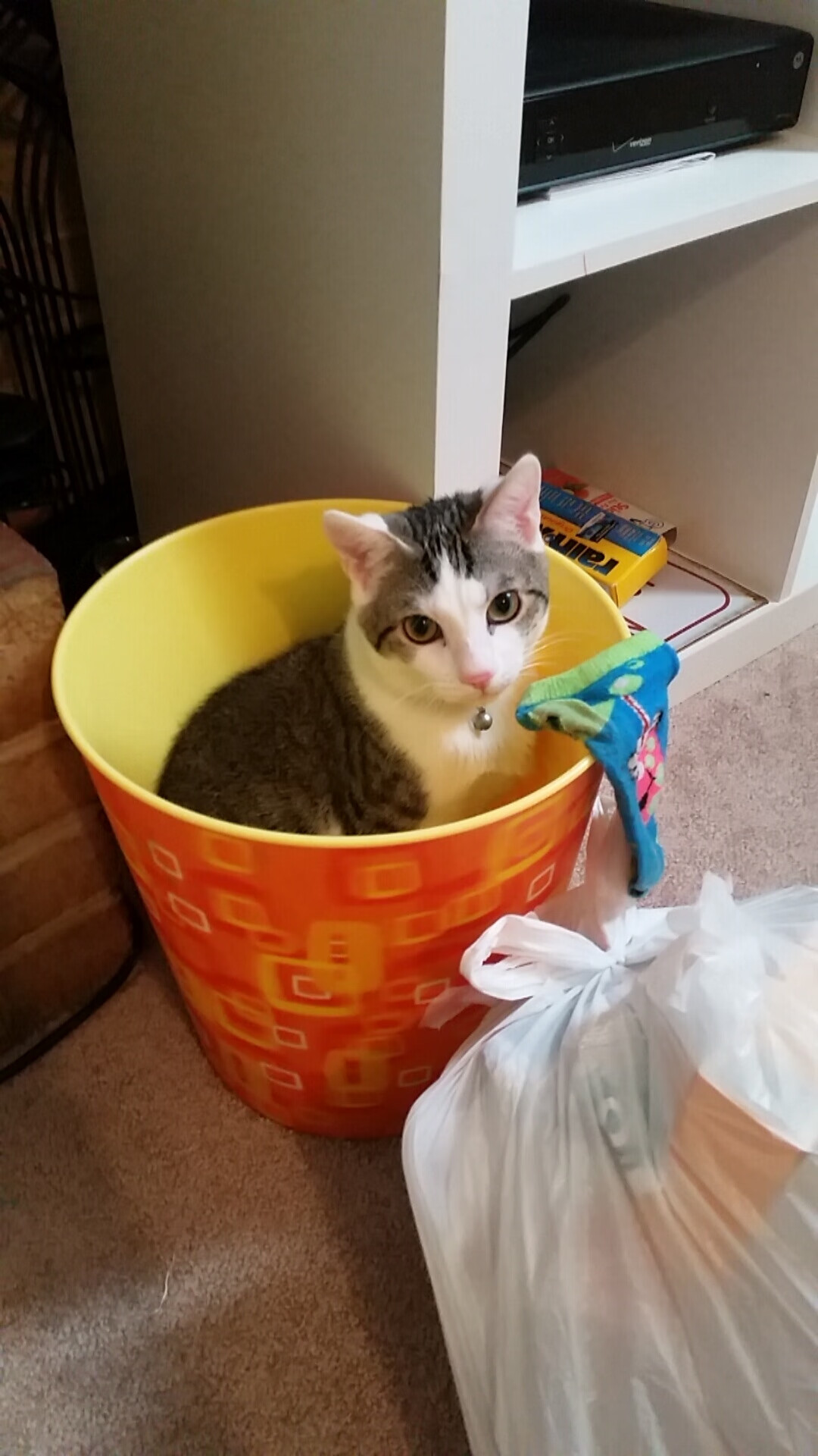 开云APP-全面压制与关键先生，现代足球的战术铁幕与英雄闪光