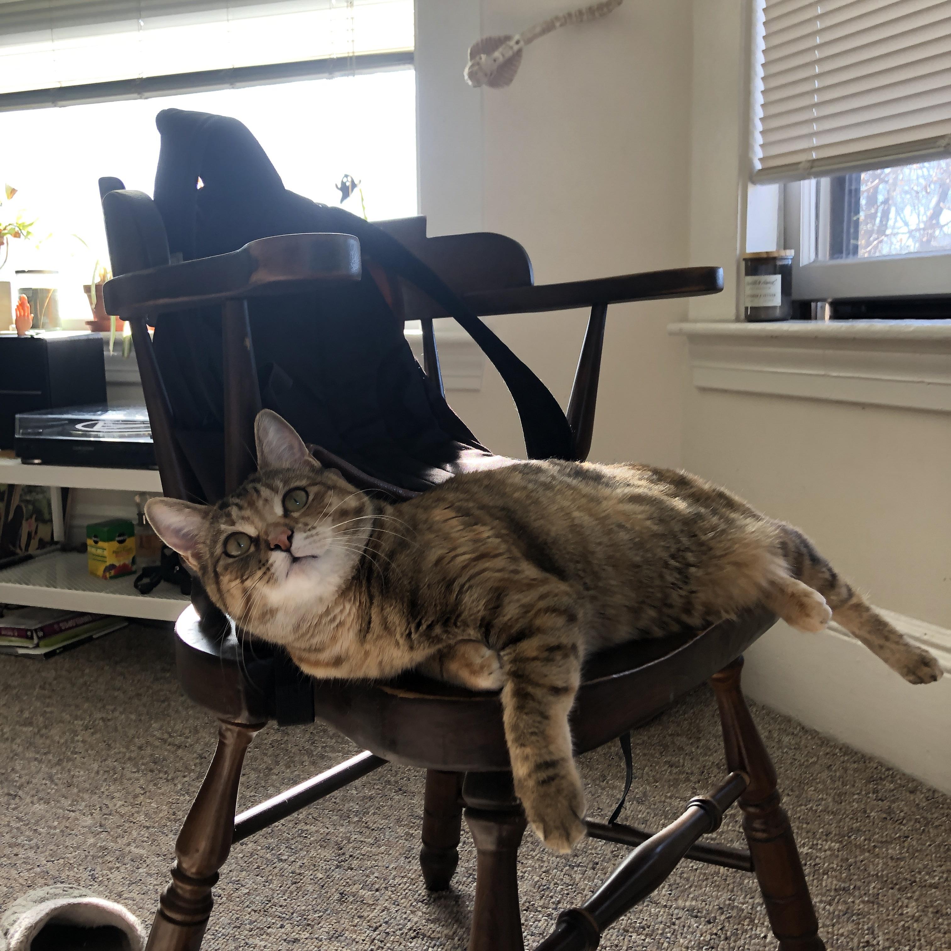 赛道之上，F1巴林极速狂飙与小贾伦的生涯之夜交响曲