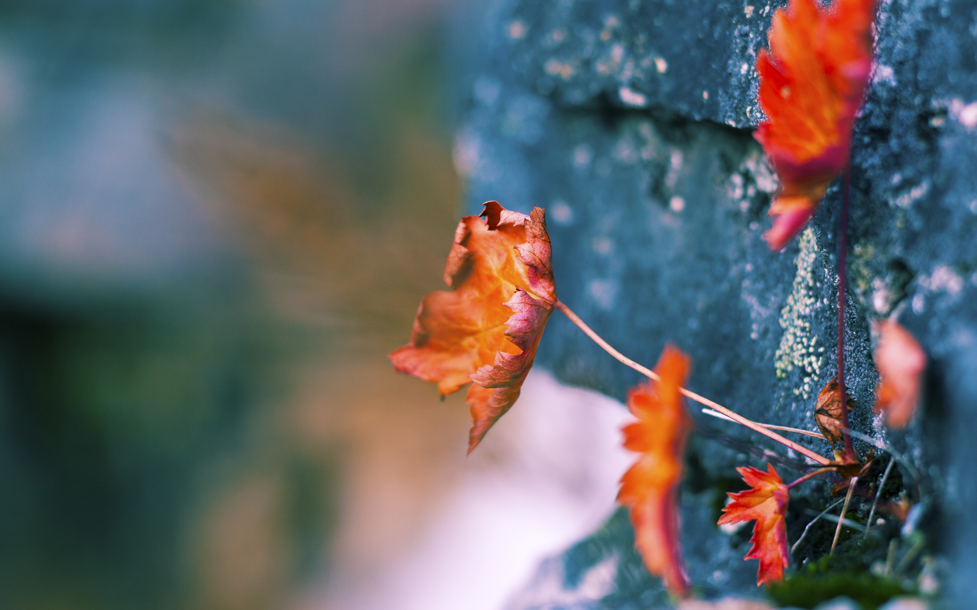 开云体育登录-末节风云！杰伦格林关键先生诞生记，新疆队逆转爵士，谱写篮坛新传奇