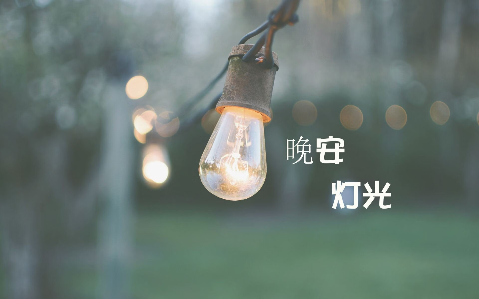 橙色风暴中的雄狮怒吼，吉鲁关键一役，喀麦隆逼平荷兰