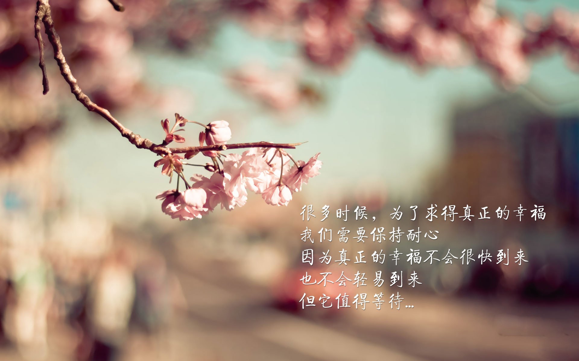 潘帕斯雄鹰再度翱翔,2026世界杯揭幕战阿根廷绝杀加拿大,福登闪耀全场